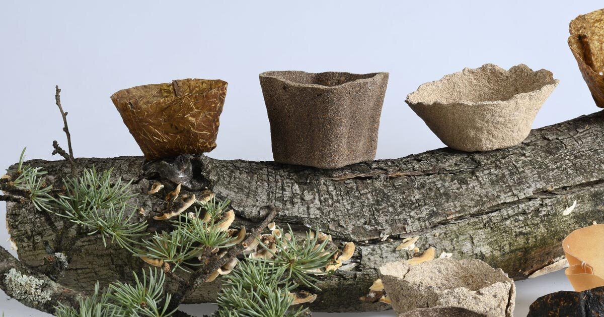 resíduos orgânicos recuperados compõe vasos de plantas biodegradáveis ​​sem plástico