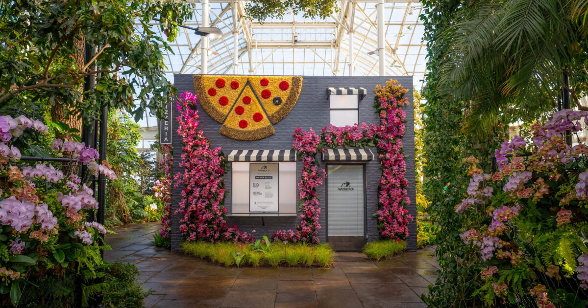 paisagens de orquídeas florescem em exposição de uma cidade de Nova York reinventada