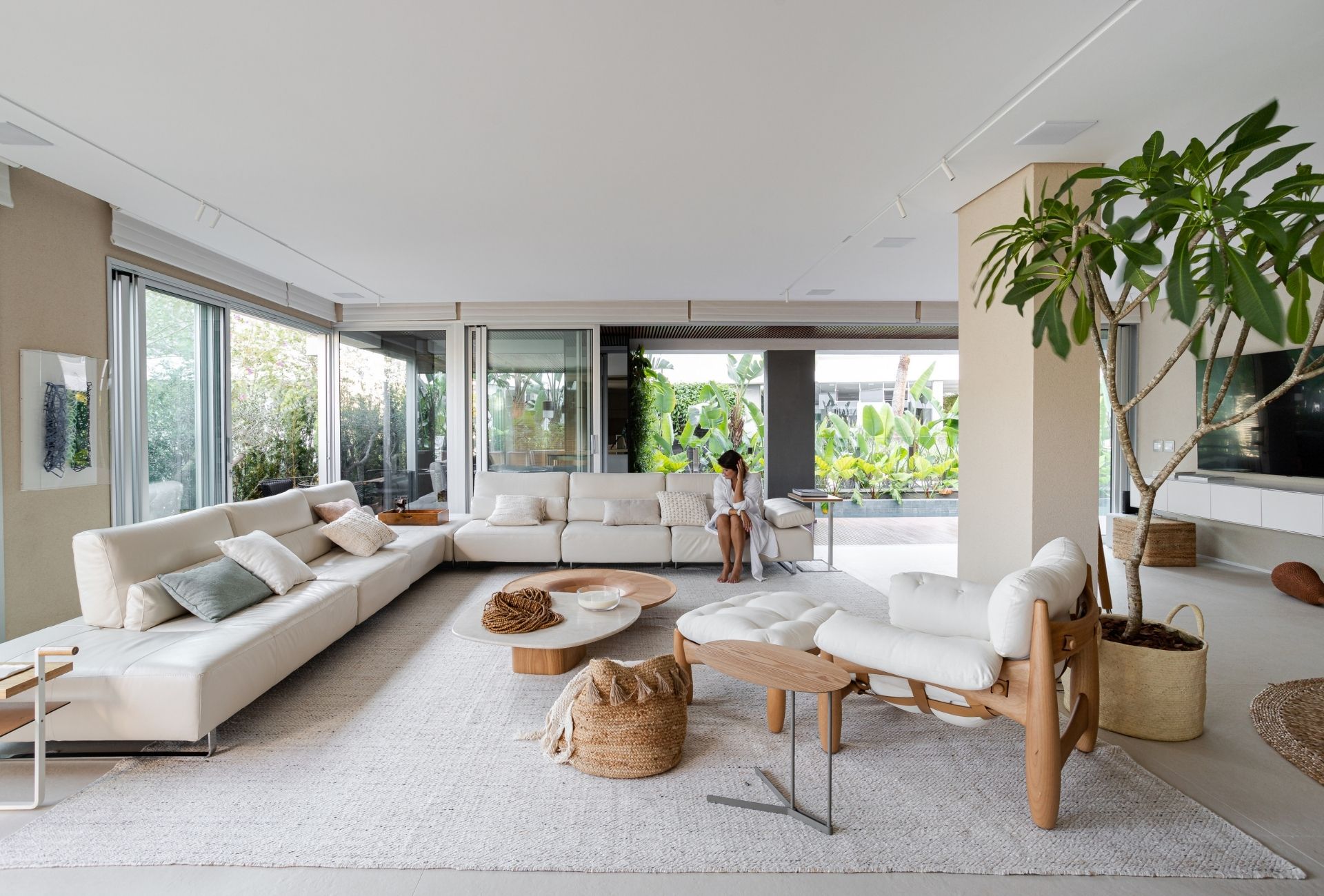 como cultivar e usar na decoração