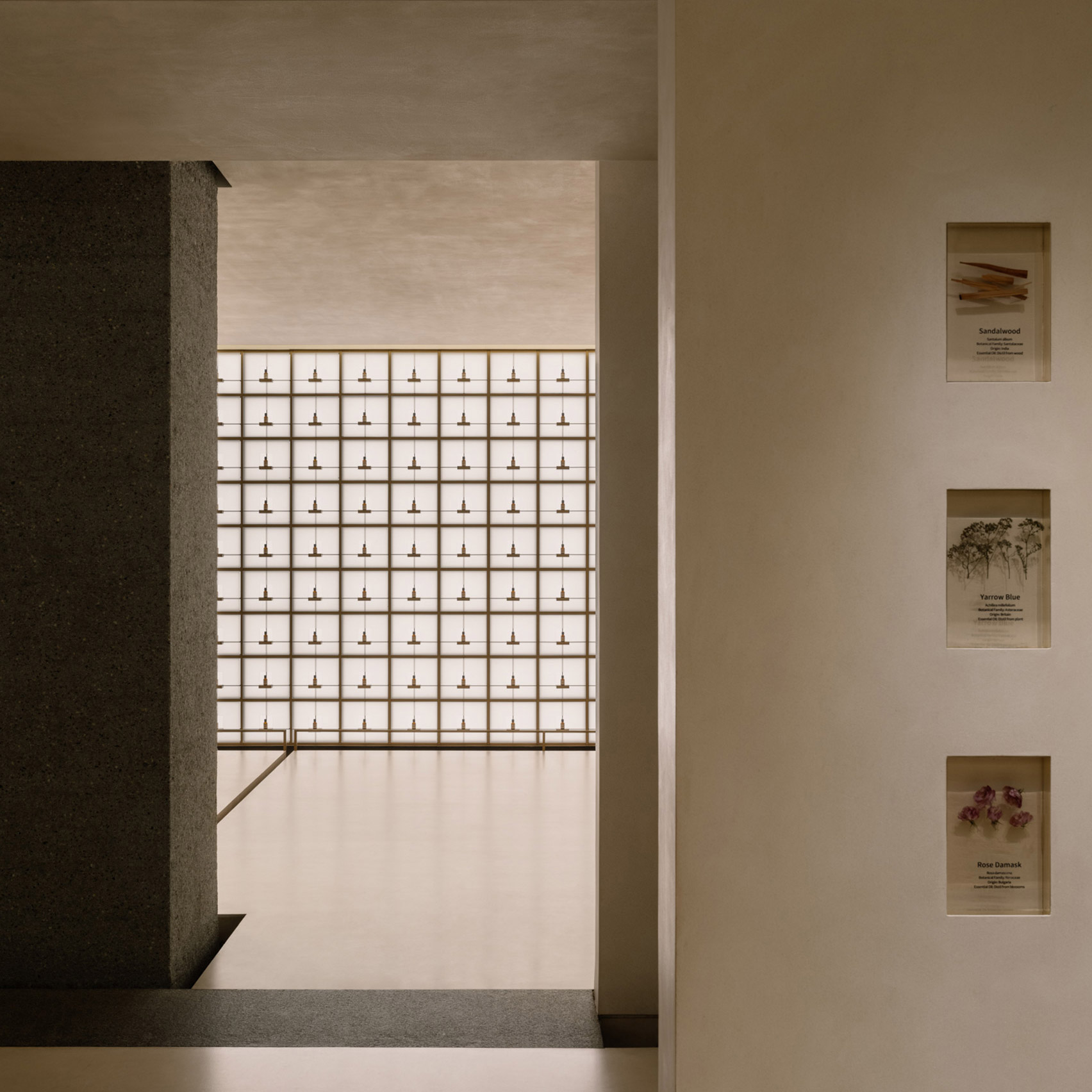 FOG Architecture projeta spa YUSPA em Pequim