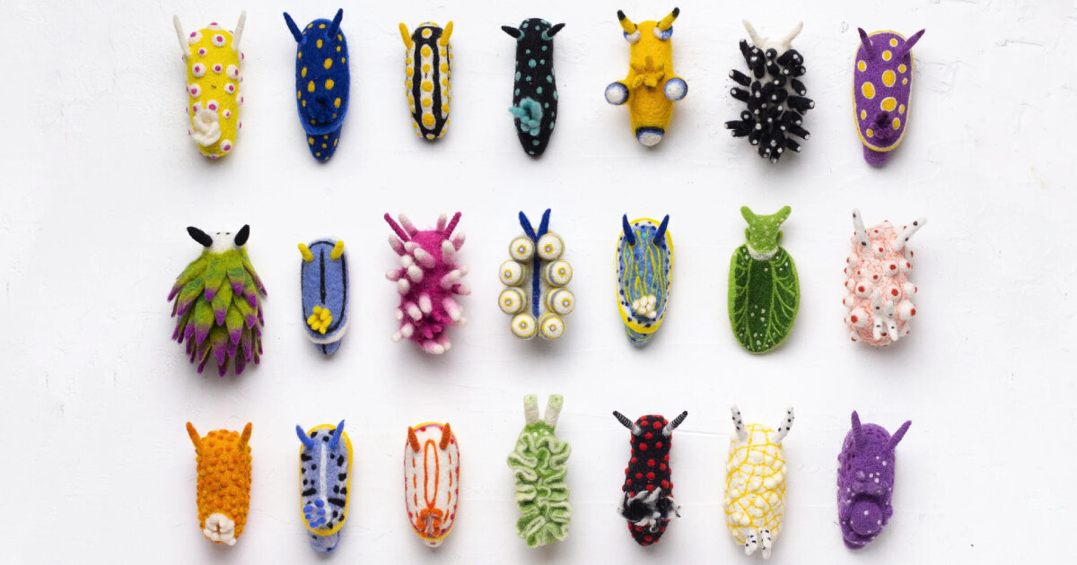 lã de ovelha feltrada à mão forma a biblioteca de nudibrânquios vibrantes