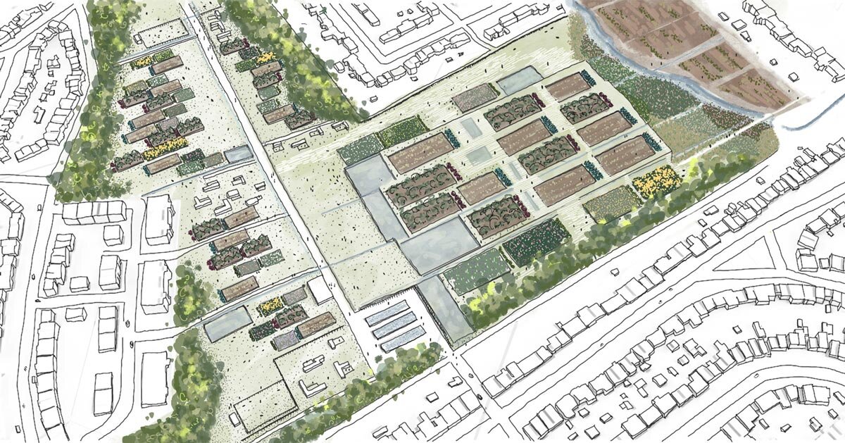 renaturalização urbana na prática: restaurando as charnecas de Londres para humanos, ovelhas e ecologia