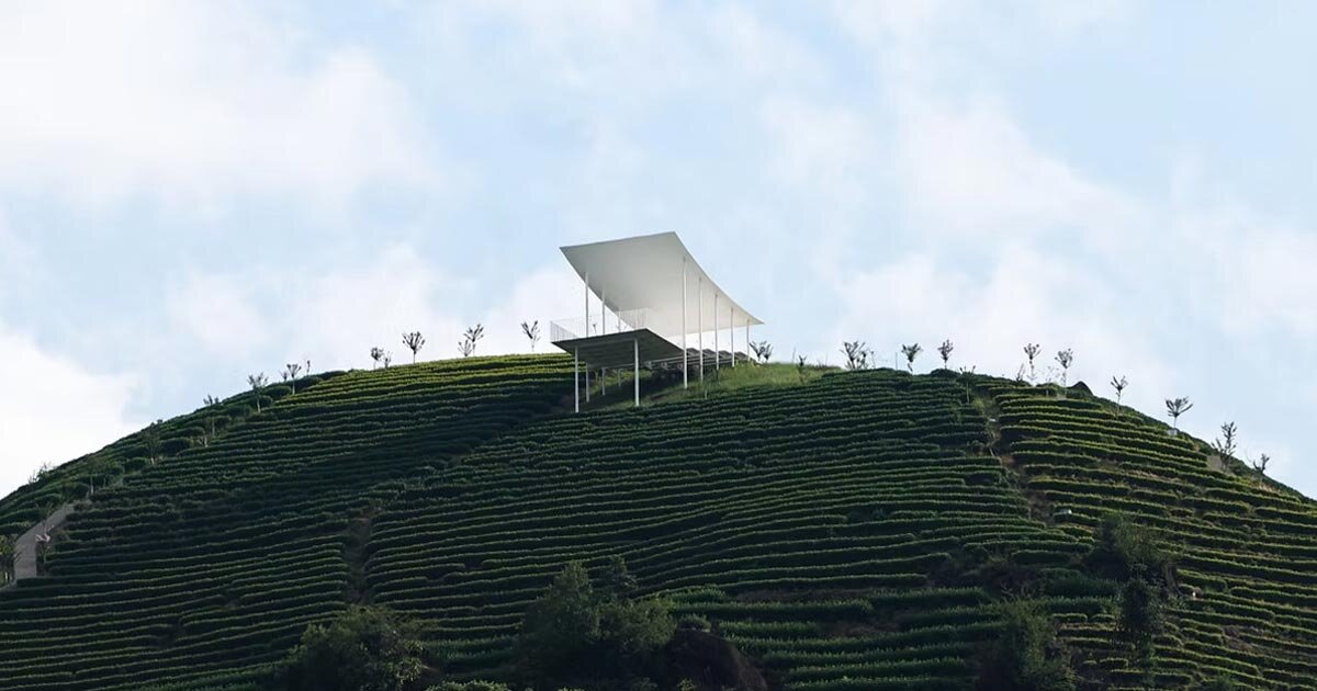 O pavilhão flutuante do estúdio RE+N paira sobre a montanha do chá chinês
