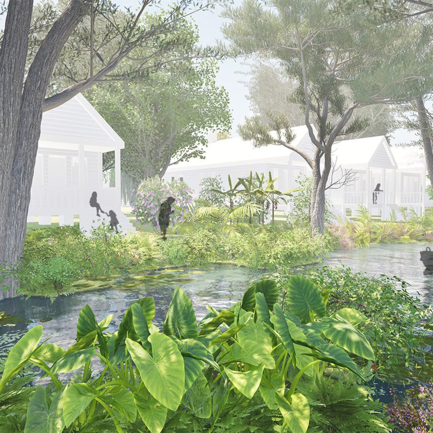 Native wetland ecosystems in New Orleans among projects from Tulane University