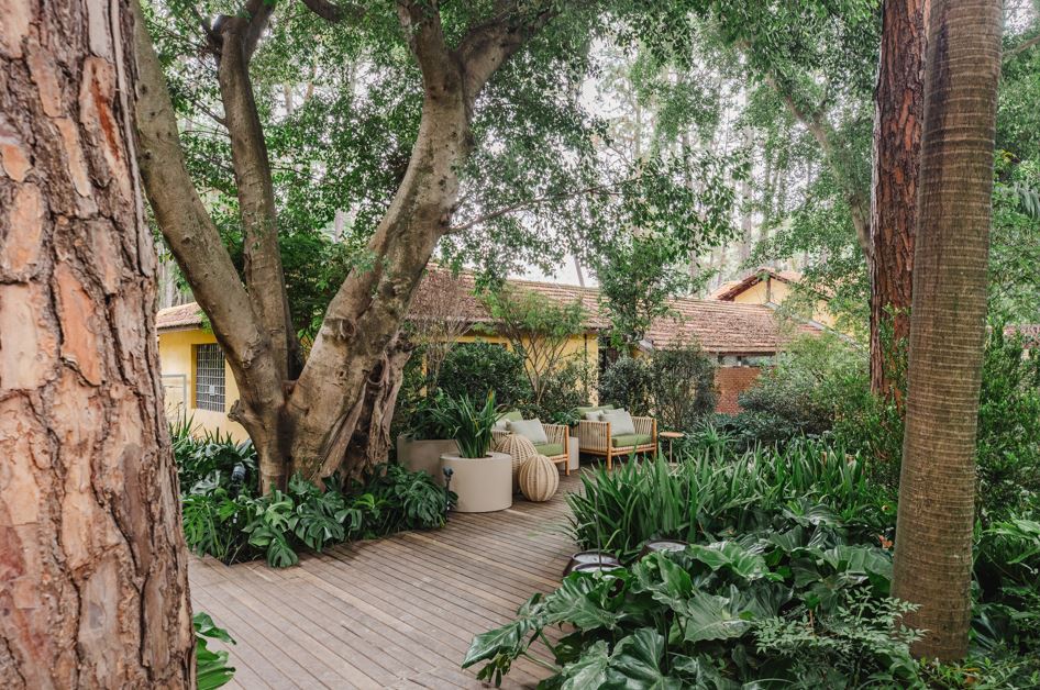 CASACOR SP: Clareira na Mata, o jardim que honra a história do Parque da Água Branca