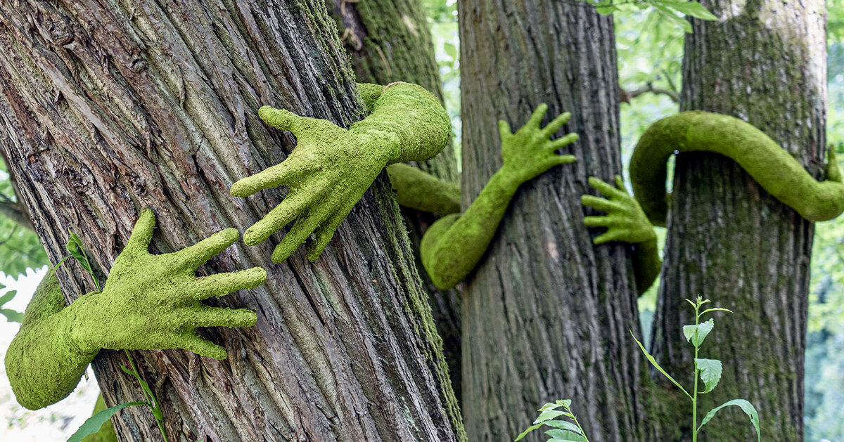 planta monsieur envolve braços humanos esculturais em torno de árvores
